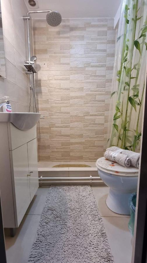 Ferienwohnung Studio Vale Hunedoara Exterior foto