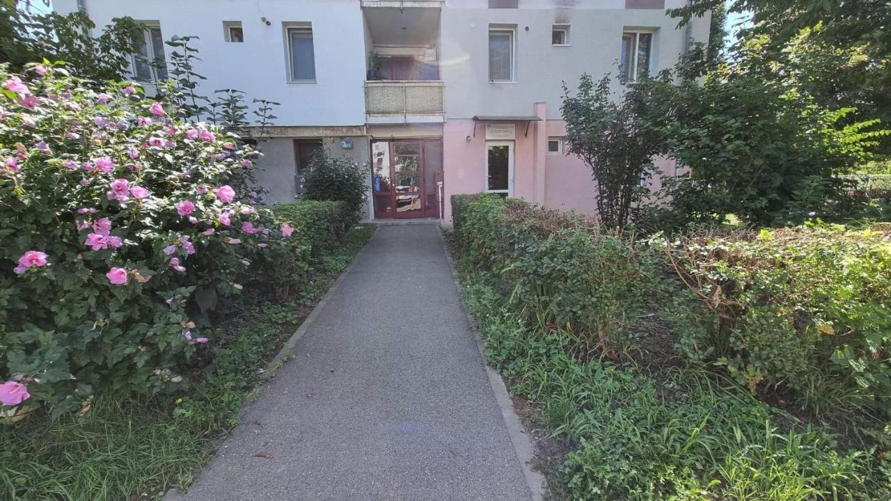 Ferienwohnung Studio Vale Hunedoara Exterior foto